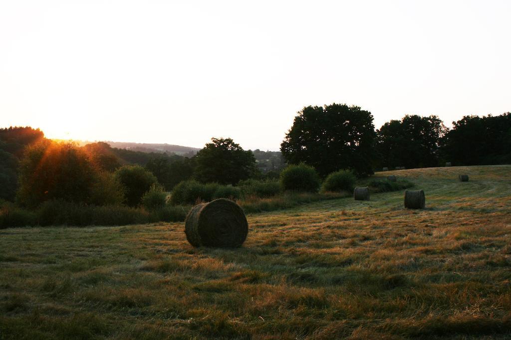 Domaine De Romefort Saint-Léonard-de-Noblat Zimmer foto